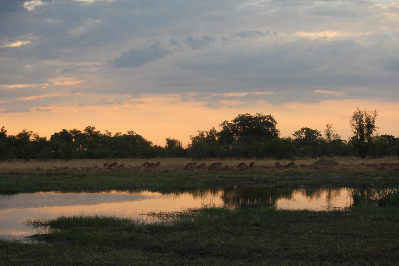 Cresta Maun Hotel Buitenkant foto
