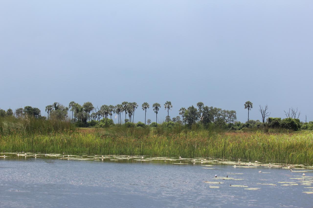 Cresta Maun Hotel Buitenkant foto